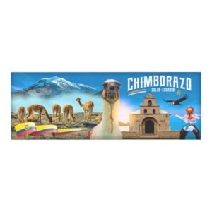 ACR-61 - Magneto Metálico Alargado