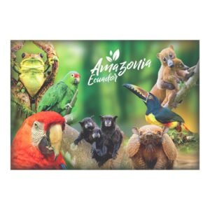 AMA-10 - Magneto Metálico Rectangular