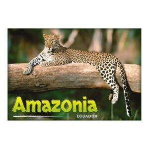 AMA-12 - Magneto Metálico Rectangular