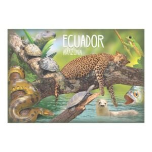 AMA-13 - Magneto Metálico Rectangular