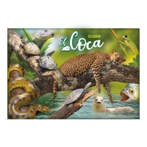 AMA-14 - Magneto Metálico Rectangular