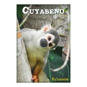 AMA-3 - Magneto Metálico Rectangular