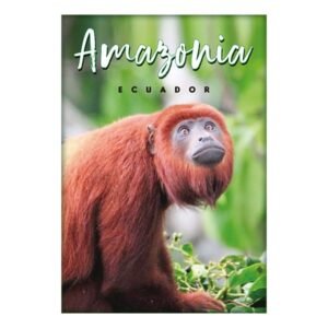 AMA-4 - Magneto Metálico Rectangular