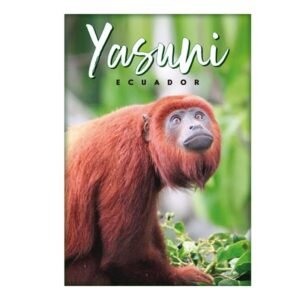 AMA-5 - Magneto Metálico Rectangular