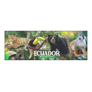 AMA-61 - Magneto Metálico Alargado