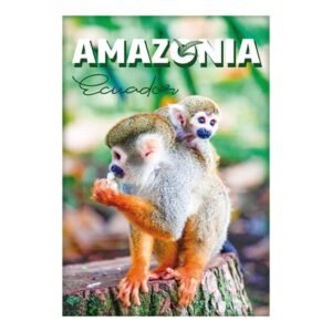 AMA-7 - Magneto Metálico Rectangular