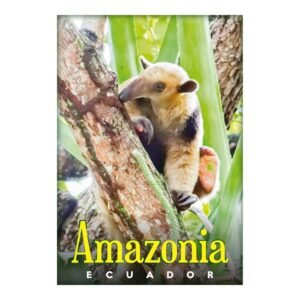 AMA-9 - Magneto Metálico Rectangular