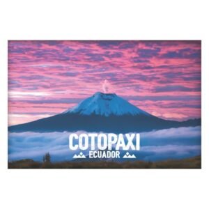 COT-131 - Postal Doble Diseño