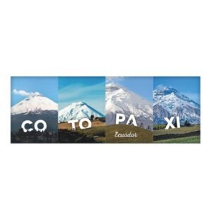 COT-61 - Magneto Metálico Alargado