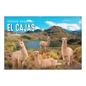 CUE-15 - Magneto Metálico Rectangular