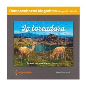 CUE-85 - Rompecabezas de 48 piezas magnéticas