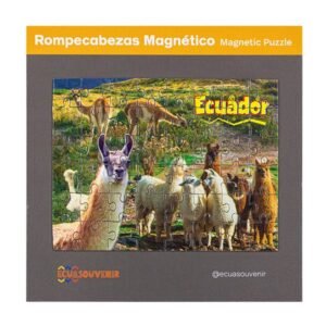 ECU-85 - Rompecabezas de 48 piezas magnéticas