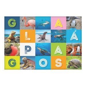 GAL-1 - Magneto Metálico Rectangular