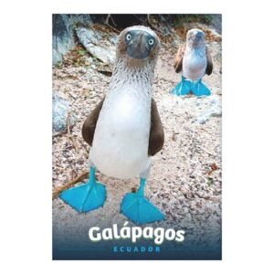 GAL-10 - Magneto Metálico Rectangular