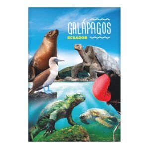 GAL-11 - Magneto Metálico Rectangular