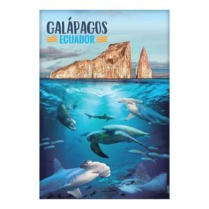 GAL-14 - Magneto Metálico Rectangular