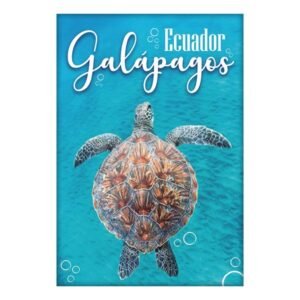 GAL-15 - Magneto Metálico Rectangular