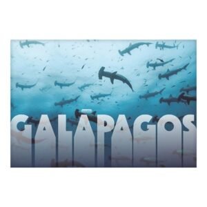 GAL-16 - Magneto Metálico Rectangular