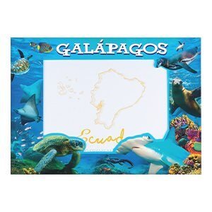 GAL-162 - Portaretrato Magneto de Drip Glue