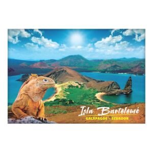 GAL-17 - Magneto Metálico Rectangular