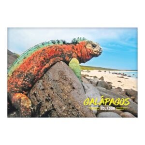 GAL-18 - Magneto Metálico Rectangular