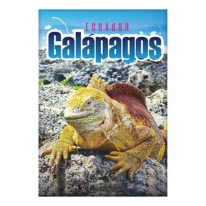 GAL-19 - Magneto Metálico Rectangular