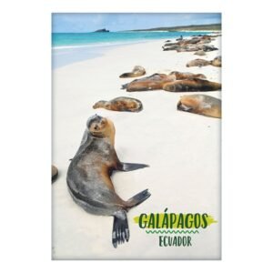 GAL-20 - Magneto Metálico Rectangular