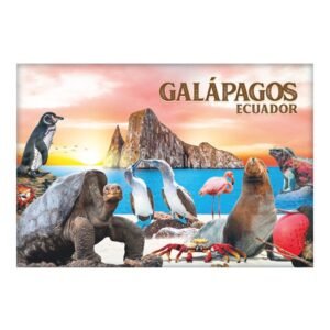 GAL-22 - Magneto Metálico Rectangular