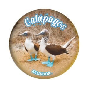 GAL-34C - Magneto Redondo de Cristal