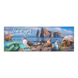 GAL-64 - Magneto Metálico Alargado