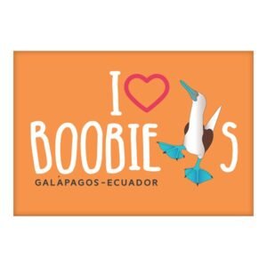 GAL-6A - Magneto Metálico Rectangular