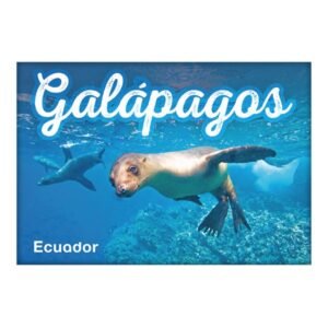 GAL-8 - Magneto Metálico Rectangular