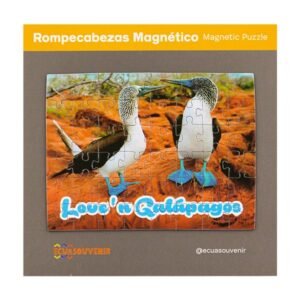 GAL-82 - Rompecabezas de 48 piezas magnéticas