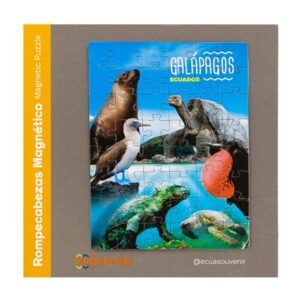 GAL-83 - Rompecabezas de 48 piezas magnéticas