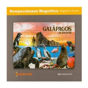 GAL-84 - Rompecabezas de 48 piezas magnéticas