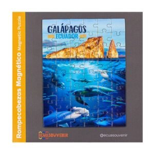 GAL-88 - Rompecabezas de 48 piezas magnéticas