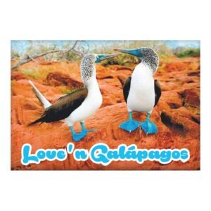 GAL-9 - Magneto Metálico Rectangular