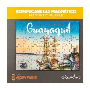 GYE-81 - Rompecabezas de 48 piezas magnéticas