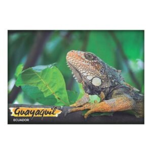 GYE-9 - Magneto Metálico Rectangular