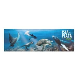 PEZ-61 - Magneto Metálico Alargado