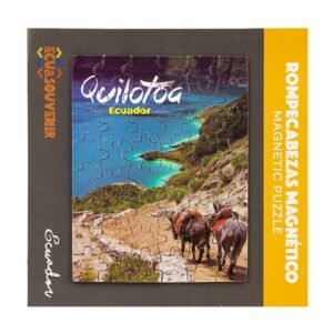 TOA-82 - Rompecabezas de 48 piezas magnéticas