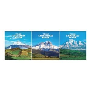 VOL-62 - Magneto Metálico Alargado