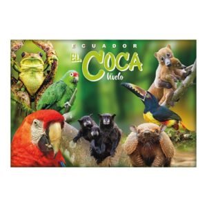 AMA-11 - Magneto Metálico Rectangular