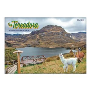 CUE-14B - Magneto Metálico Rectangular