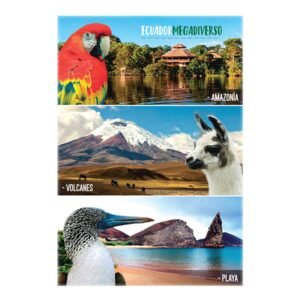 ECU-2 - Magneto Metálico Rectangular