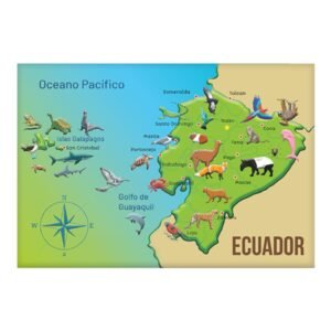 ECU-7 - Magneto Metálico Rectangular