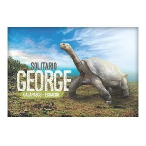 GAL-4 - Magneto Metálico Rectangular