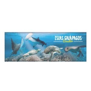 GAL-61 - Magneto Metálico Alargado