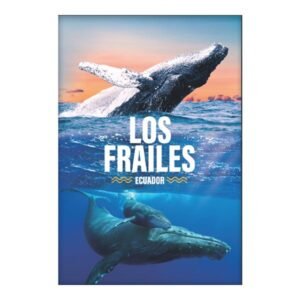 PEZ-8 - Magneto Metálico Rectangular