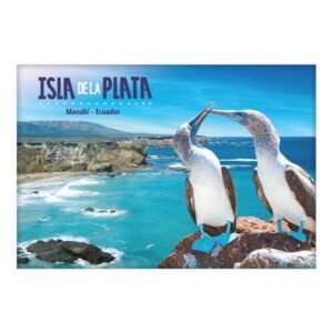 PEZ-9 - Magneto Metálico Rectangular